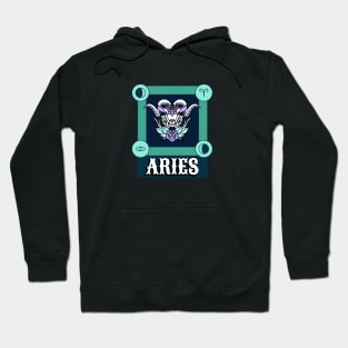 Aries Horoscope Zodiac Sign Hoodie